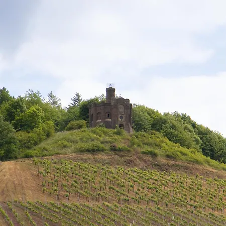 Alembra - Wein Style Trier