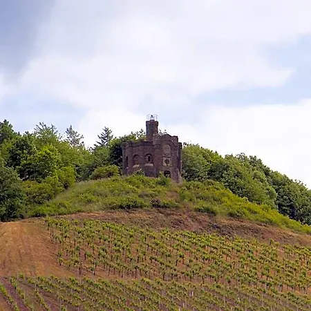 Alembra - Wein Style 3*