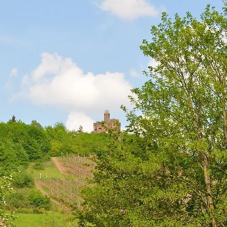 Alembra - Wein Style 3*