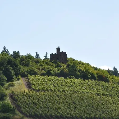 Alembra - Wein Style Отель Трир