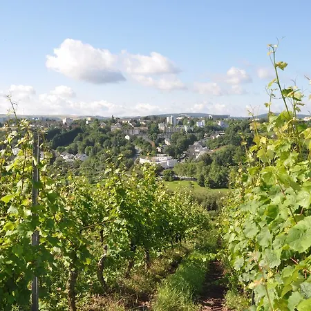 Schroeders Wein-style-hotel Treviri