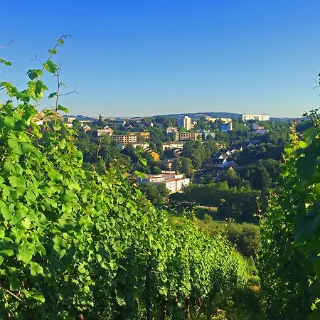 Hotel Schroeders Wein-style-hotel 3*