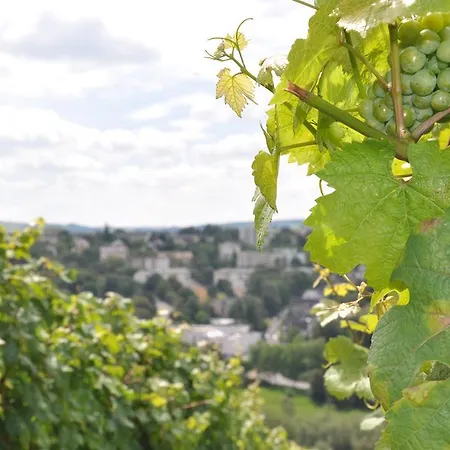 Schroeders Wein-style-hotel Treviri