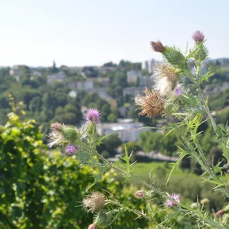 Alembra - Wein Style 3* Трир