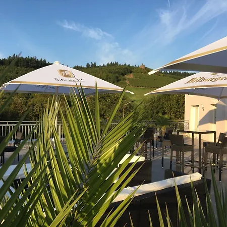 Schroeders Wein-style-hotel 3* Treviri