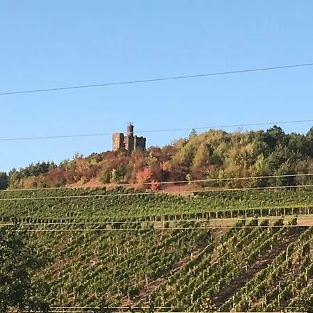 Alembra - Wein Style Отель